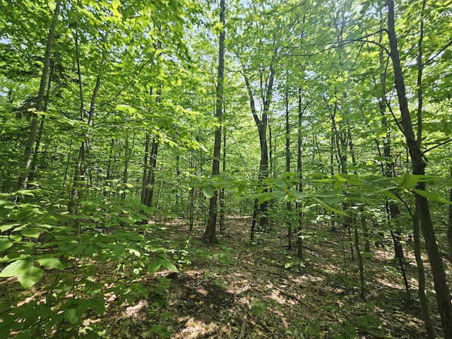 LOT023-A Oak Hill Rd, Temple, ME 04984