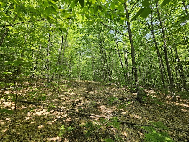 LOT023-A Oak Hill Rd, Temple, ME 04984