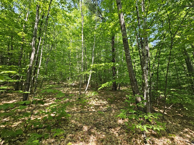 LOT023-A Oak Hill Rd, Temple, ME 04984