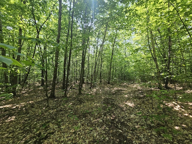 LOT023-A Oak Hill Rd, Temple, ME 04984