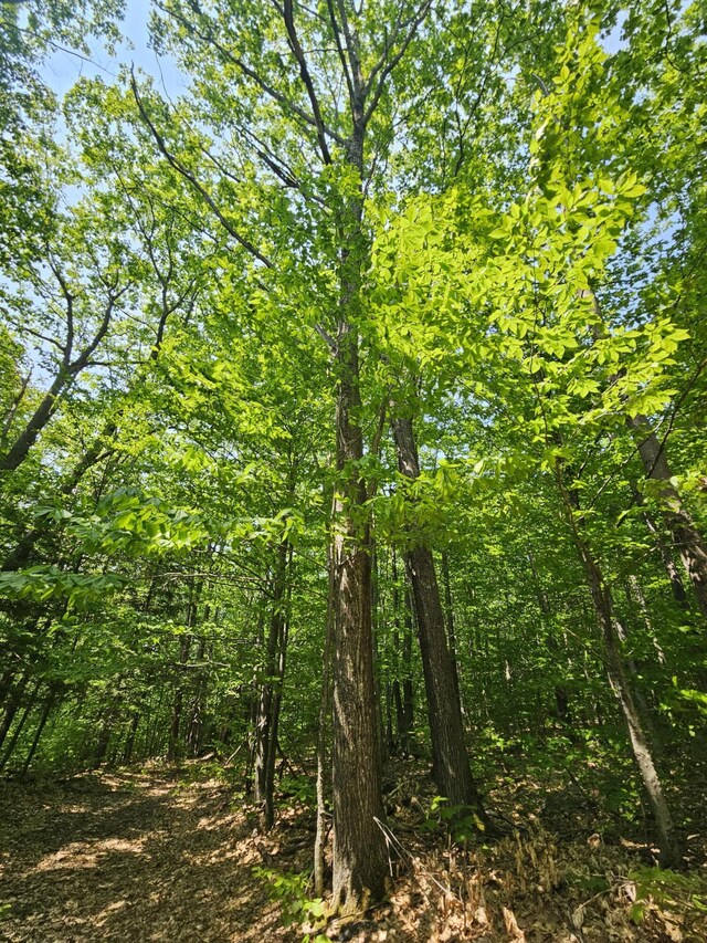 LOT023-A Oak Hill Rd, Temple, ME 04984