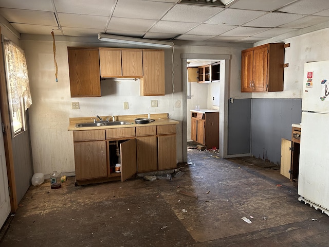 kitchen featuring sink, a drop ceiling, and white refrigerator