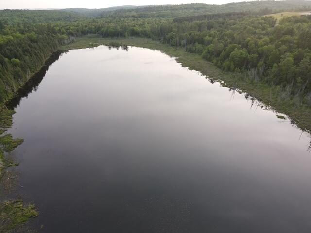 LOT12 Parker Pond Rd, Sebec, ME 04481