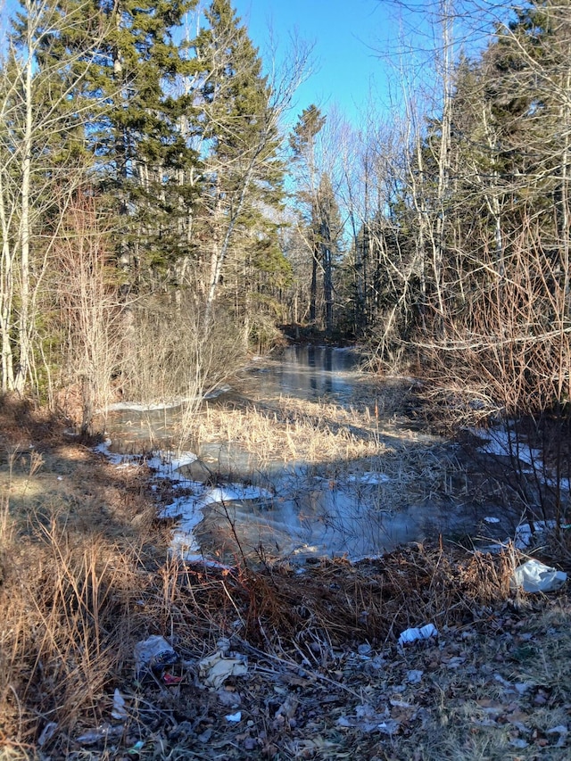 view of water feature