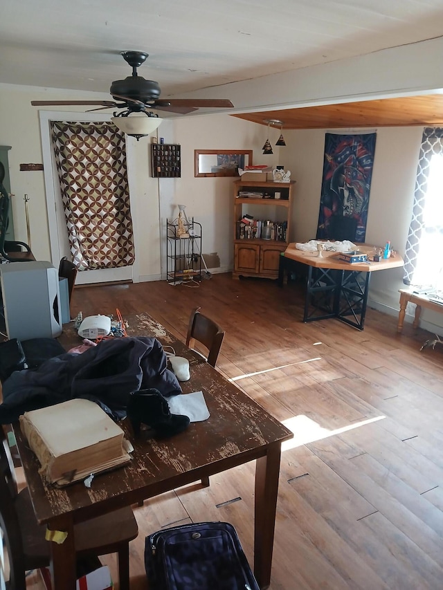 dining area with ceiling fan and light wood-type flooring