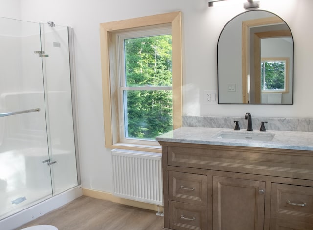 284 Flanders Pond Rd, Sullivan, ME 04664 - full bathroom featuring radiator, a shower stall, vanity, and wood finished floors