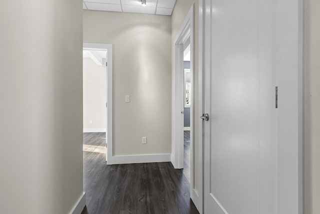 hall featuring dark hardwood / wood-style floors and a drop ceiling