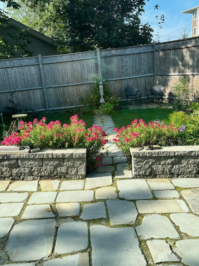 view of yard with a patio area