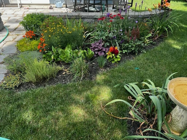 view of yard with a patio