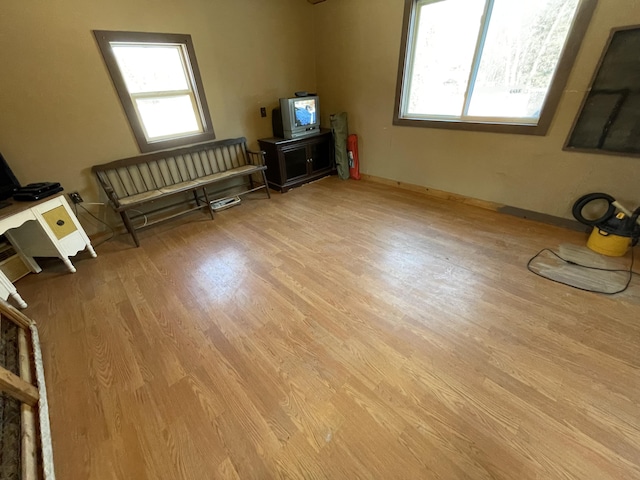 miscellaneous room with light wood-type flooring and a wealth of natural light