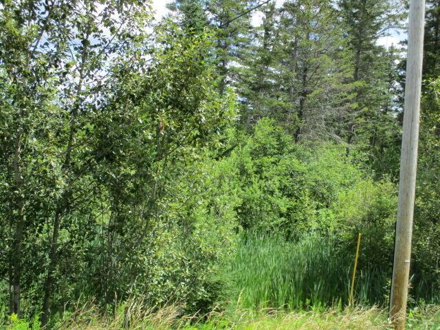 Listing photo 2 for M23L24 Aroostook Rd, Wallagrass ME 04781