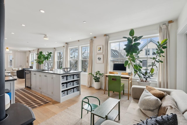 living room featuring sink and light wood-type flooring