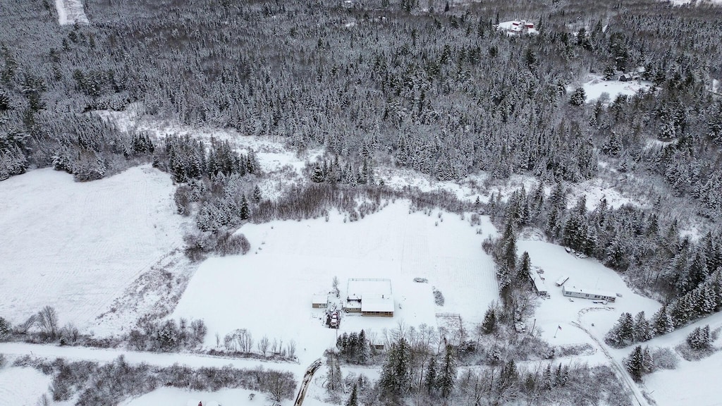 view of snowy aerial view