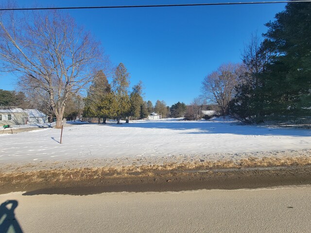 view of yard covered in snow