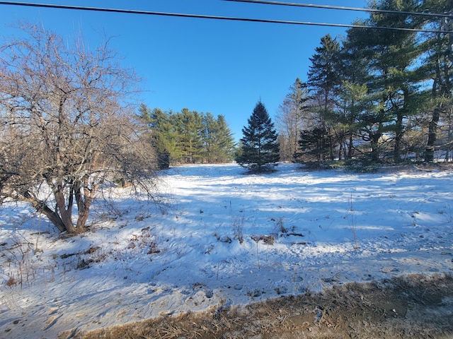 view of snowy yard