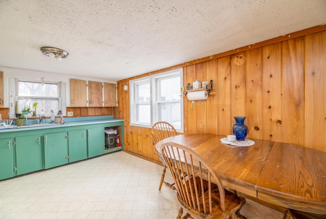 dining area with sink, a textured ceiling, and wood walls