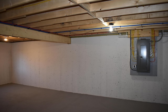 basement with electric panel