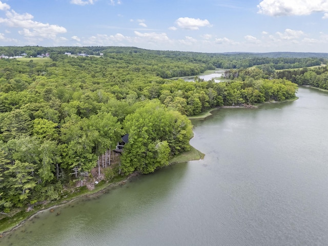 36 Storer Rd, Bremen, ME 04551 - drone / aerial view of a forest and a nearby body of water