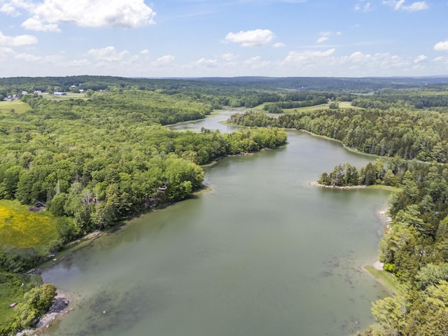 36 Storer Rd, Bremen, ME 04551 - aerial view of a forest and a large body of water