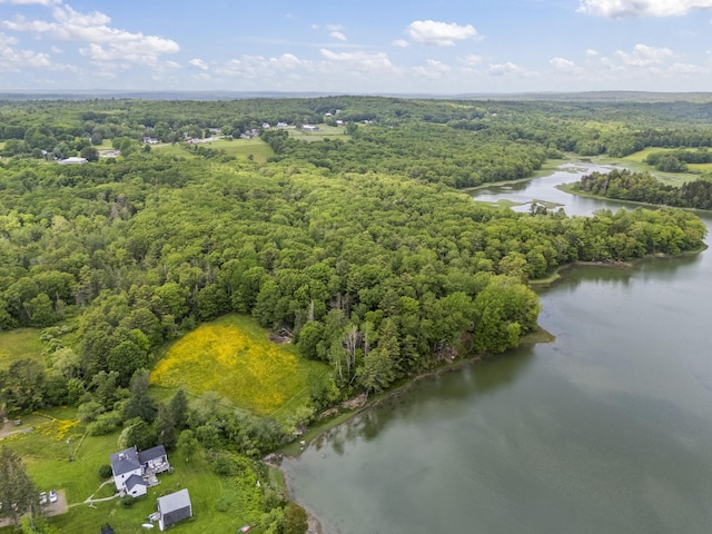 36 Storer Rd, Bremen, ME 04551 - drone / aerial view of a forest and a nearby body of water