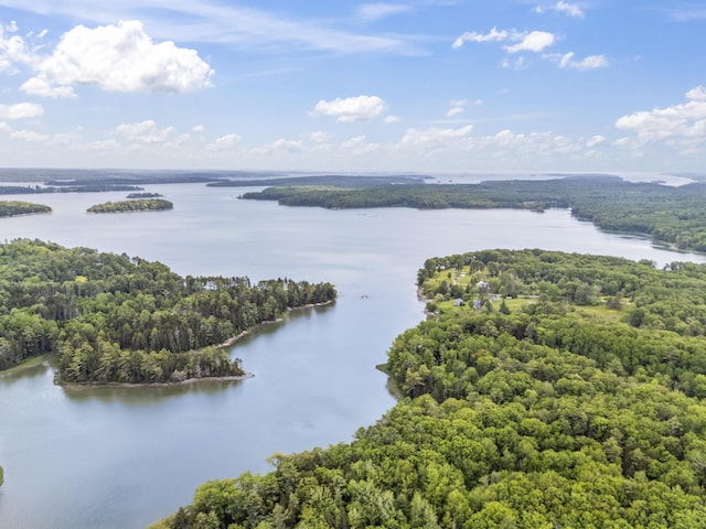 36 Storer Rd, Bremen, ME 04551 - drone / aerial view of a forest and a large body of water