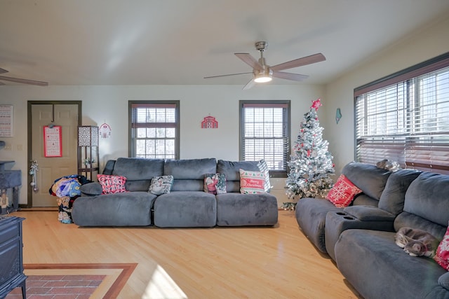 living room with ceiling fan and hardwood / wood-style flooring