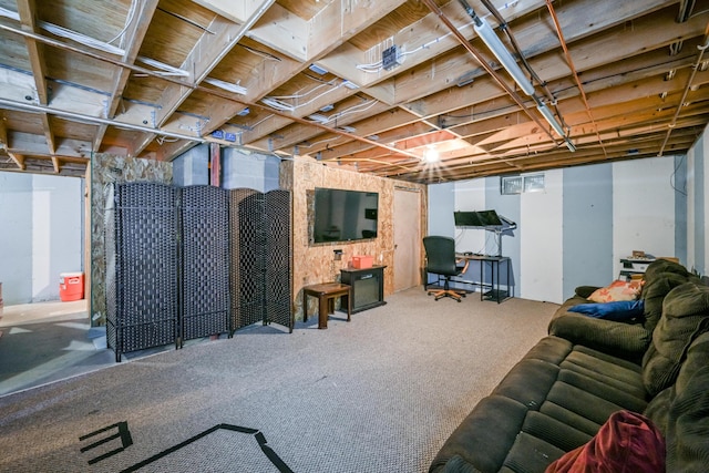 basement featuring carpet flooring