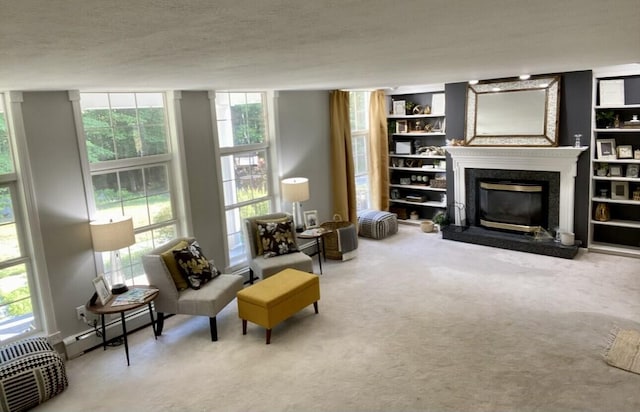 sitting room featuring a baseboard radiator, a wall of windows, carpet floors, and a textured ceiling