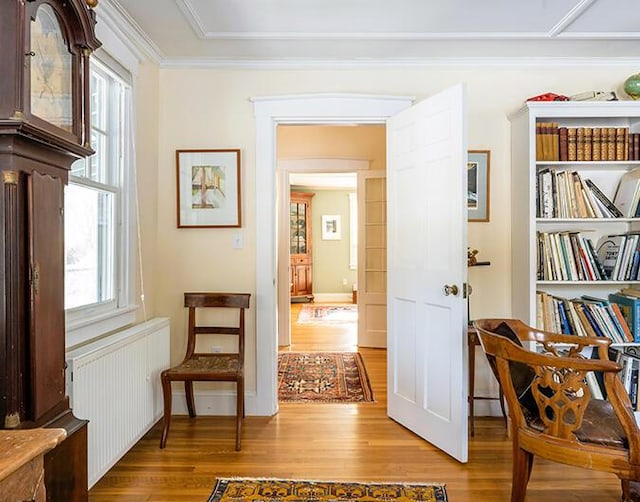 50 Peters Rd, Searsmont, ME 04973 - corridor featuring light wood-style floors, crown molding, and radiator