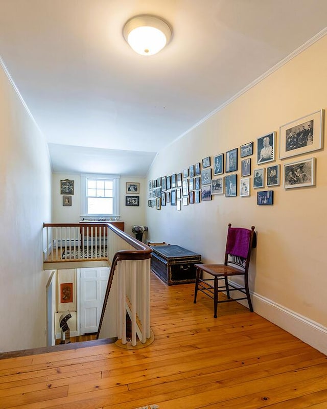 50 Peters Rd, Searsmont, ME 04973 - interior space with ornamental molding, baseboards, hardwood / wood-style floors, and lofted ceiling