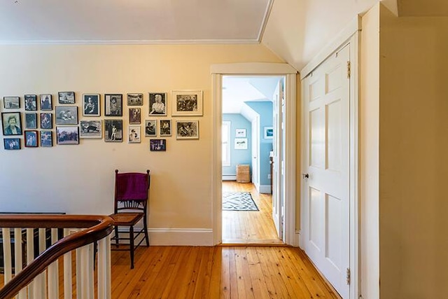 50 Peters Rd, Searsmont, ME 04973 - corridor with light wood-style flooring, baseboards, and vaulted ceiling