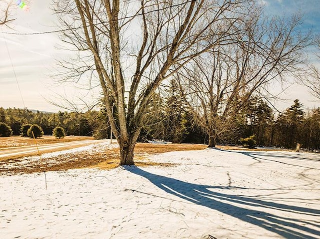 50 Peters Rd, Searsmont, ME 04973 - view of yard covered in snow