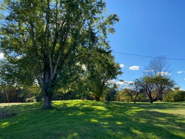50 Peters Rd, Searsmont, ME 04973 - view of yard