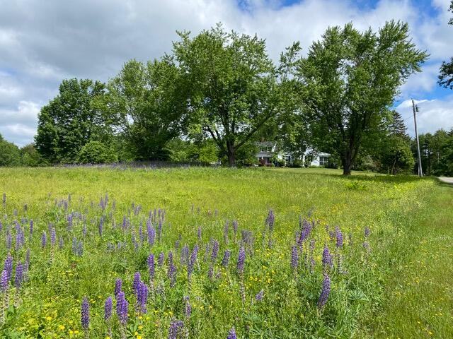 50 Peters Rd, Searsmont, ME 04973 - view of yard