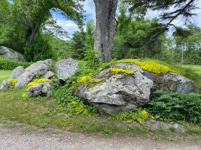 50 Peters Rd, Searsmont, ME 04973 - exterior space