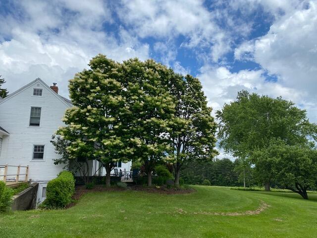 50 Peters Rd, Searsmont, ME 04973 - view of yard