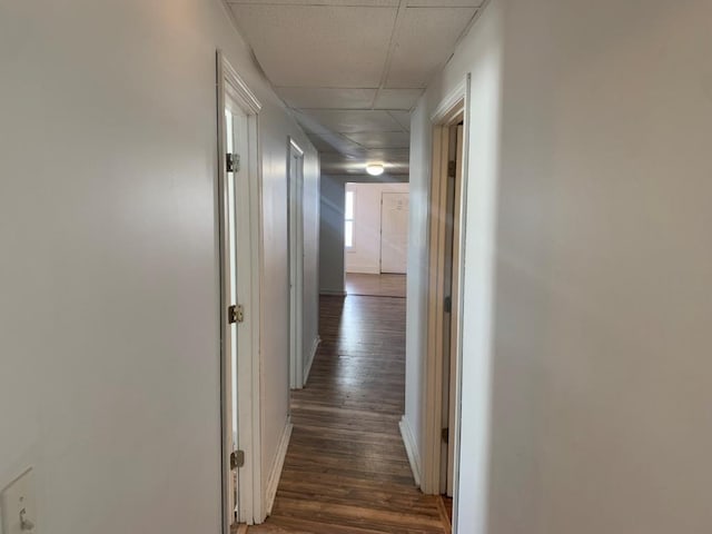 hallway featuring dark hardwood / wood-style floors