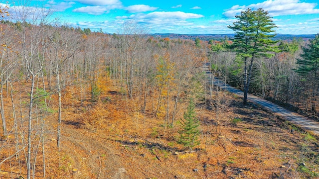 18B Isaac Stevens Rd, Bridgton ME, 04009 land for sale