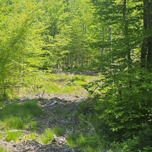 18B Isaac Stevens Rd, Bridgton, ME 04009 - photo 4