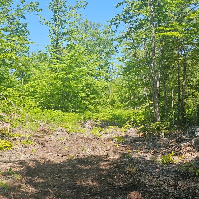 18B Isaac Stevens Rd, Bridgton, ME 04009 - photo 3