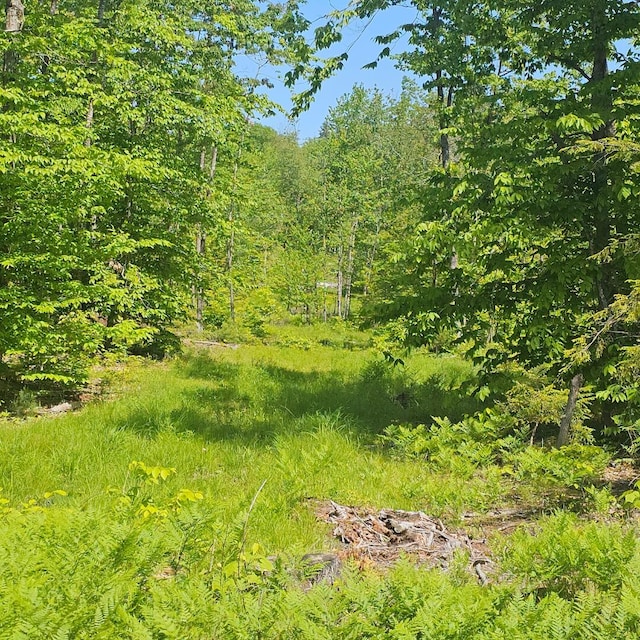 18B Isaac Stevens Rd, Bridgton, ME 04009 - photo 2
