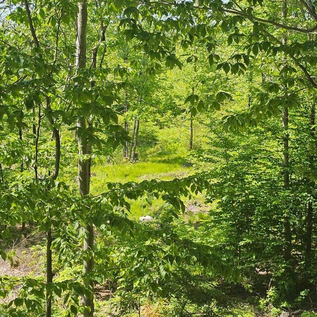 18B Isaac Stevens Rd, Bridgton, ME 04009 - photo 5