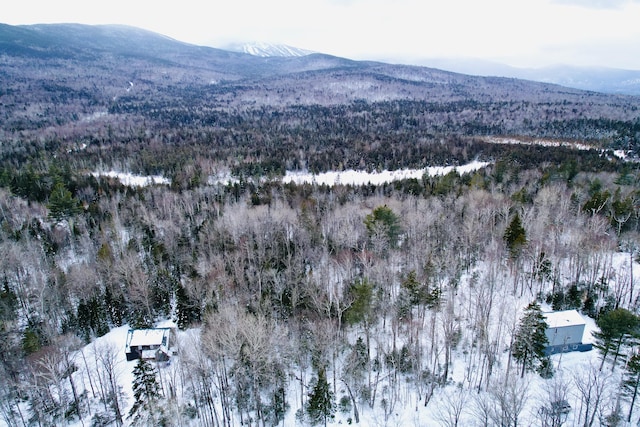 2032 Fox Hollow Rd Unit 194, Carrabassett Valley ME, 04947 land for sale