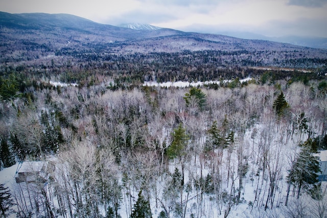 Listing photo 2 for 2032 Fox Hollow Rd Unit 194, Carrabassett Valley ME 04947