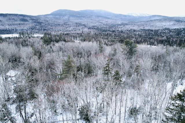 Listing photo 3 for 2032 Fox Hollow Rd Unit 194, Carrabassett Valley ME 04947