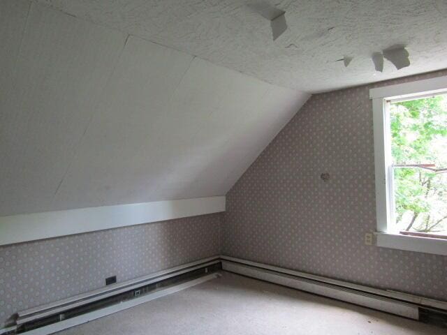 additional living space with a baseboard radiator and vaulted ceiling