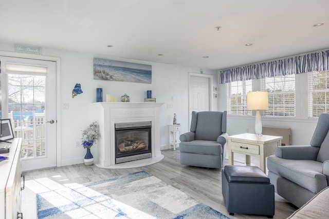 living room with light wood-type flooring