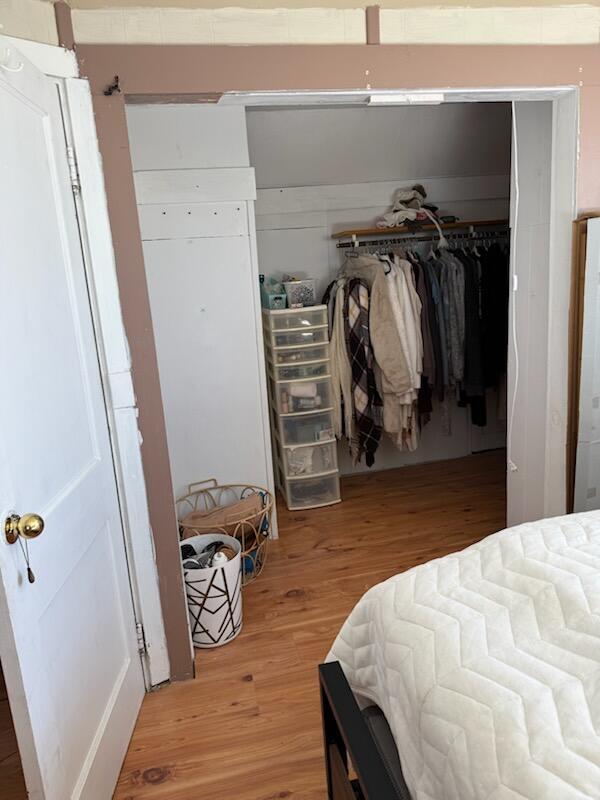 bedroom with a closet and wood-type flooring