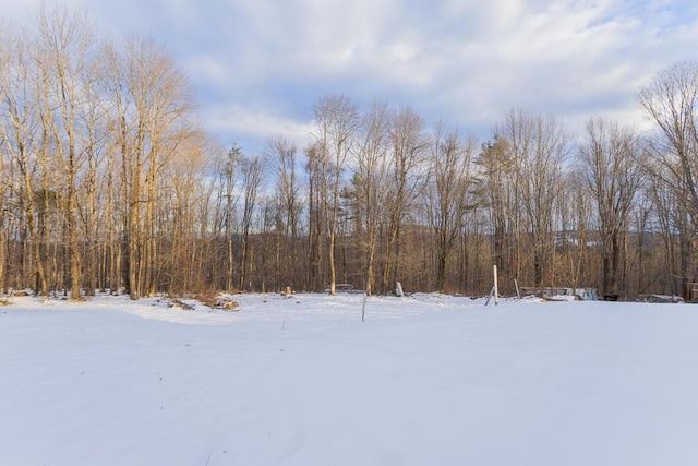 view of yard layered in snow