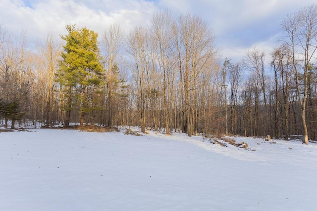 view of yard layered in snow